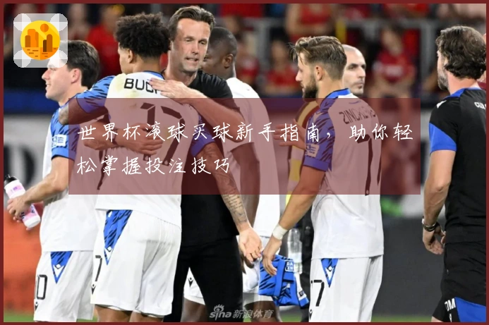 世界杯滚球买球新手指南，助你轻松掌握投注技巧