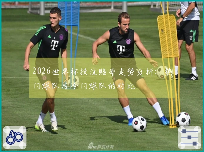 2026世界杯投注赔率走势分析：热门球队与冷门球队的对比