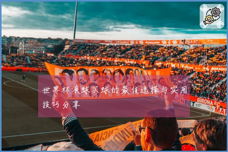世界杯滚球买球的最佳选择与实用技巧分享