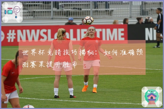 世界杯竞猜技巧揭秘：如何准确预测赛果提升胜率
