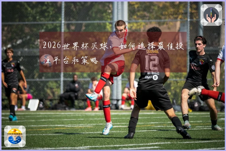 2026世界杯买球，如何选择最佳投注平台和策略