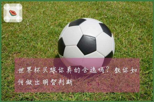 世界杯买球你真的会选吗？教你如何做出明智判断