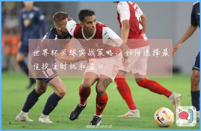 世界杯买球实战策略，如何选择最佳投注时机和盘口