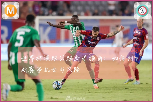 世界杯滚球买球新手指南：如何判断赛事机会与风险